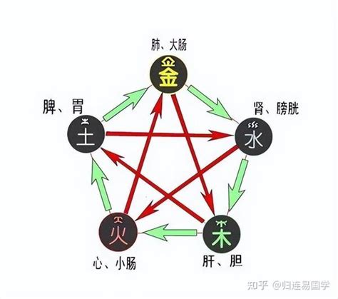 5行 木|木的五行特性